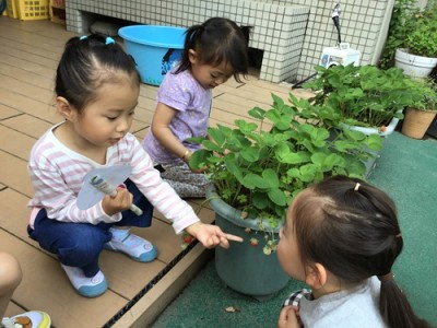 身近な自然