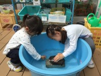 表紙2