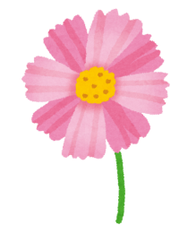 flower_cosmos